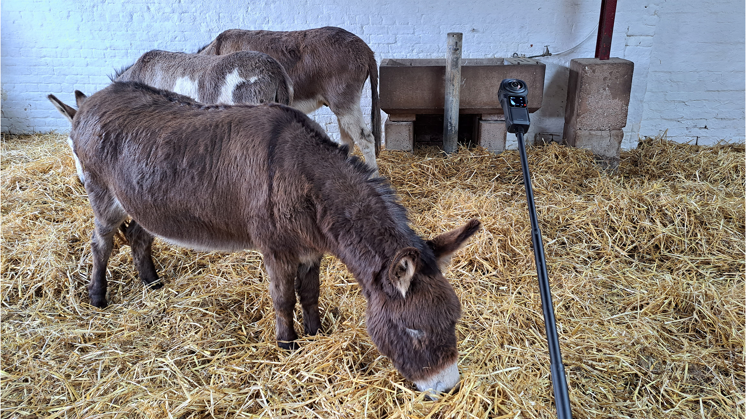 nature vr 360 filming gizmo media